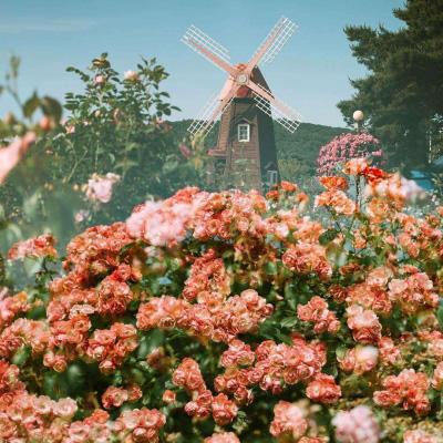 推进产融协同 共筑强国根基 葛海蛟与中国兵器工业集团董事长周治平举行工作会谈