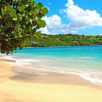 LMI 邀您锁定 ITES 2026，见证 G...